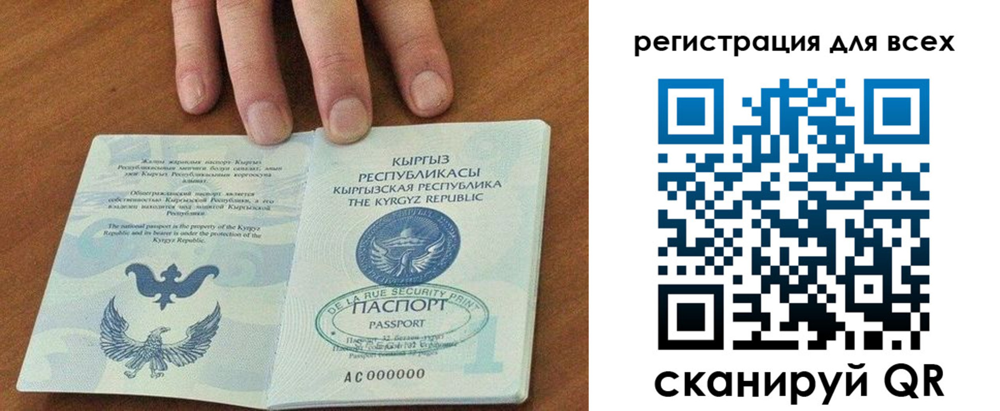 прописка для школы в Курской области