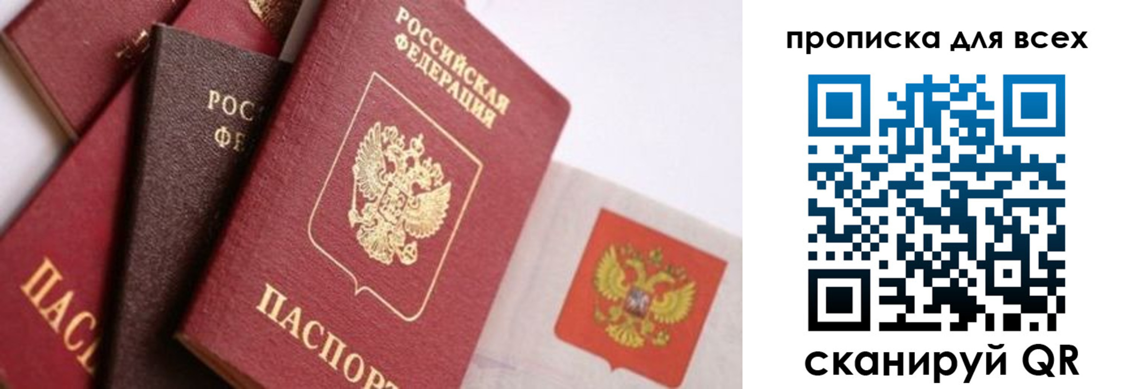 временная регистрация поиск в Курской области